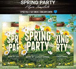 春季派对传单模板：Spring Party Flyer Template